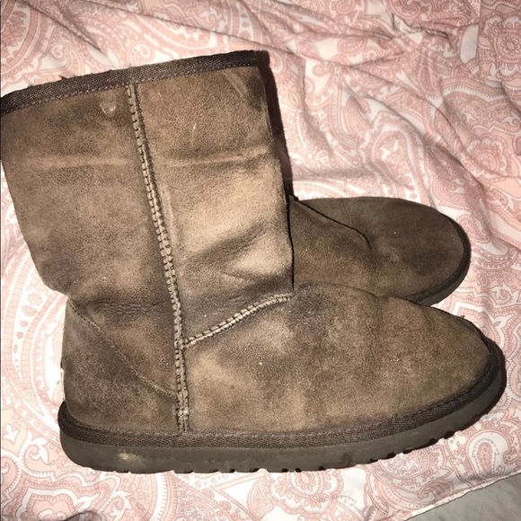 Brown Uggs - Picture 4 of 5